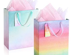 Large Gift Bags Assortment with Tissue Paper (Colorful Ombre) Pack of 2 for Birthdays